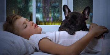 Could rain sounds be the key to a good night’s sleep?